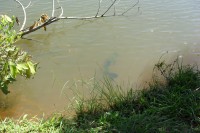 /album/memorial-do-cerrado2/sam-1352-jpg/